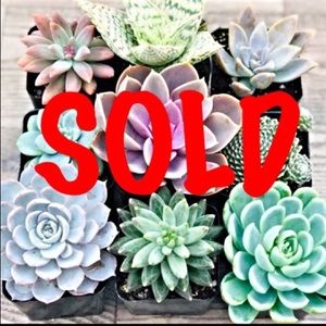 Sold Beyond This Point